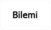 Bilemi